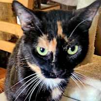 Thumbnail photo of QUINN #3