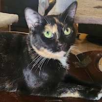 Thumbnail photo of QUINN #4