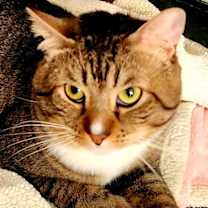 Thumbnail photo of SAMMY #1