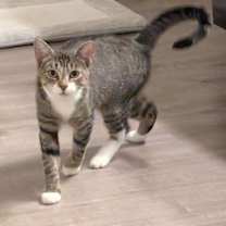 Thumbnail photo of Lilas #1