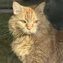 Thumbnail photo of Xiamara #2