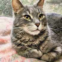 Thumbnail photo of Quinta #1