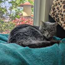 Thumbnail photo of Quinta #2