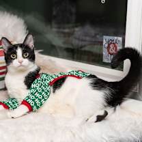 Thumbnail photo of Minni #1