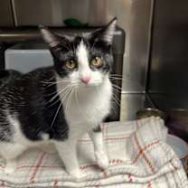 Thumbnail photo of Minni #2