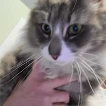 Thumbnail photo of Max #1