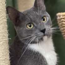 Thumbnail photo of Agatha #2