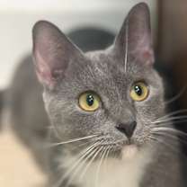 Thumbnail photo of Agatha #4