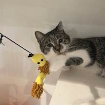 Thumbnail photo of Effie #3