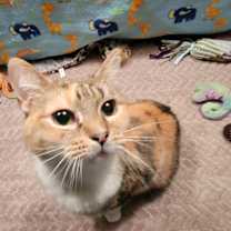 Thumbnail photo of Big Momma Rae #1