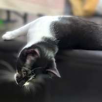 Thumbnail photo of ECLIPSE #3