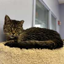 Thumbnail photo of Gladys #2