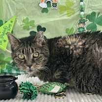 Thumbnail photo of Gladys #3