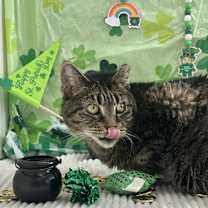 Thumbnail photo of Gladys #4