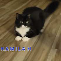 Thumbnail photo of Kamilah #1