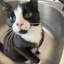 Thumbnail photo of Macie #2