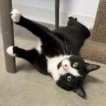 Thumbnail photo of Macie #3