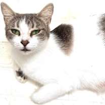 Thumbnail photo of Dani #2