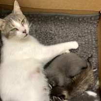 Thumbnail photo of Dani #3