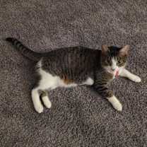 Thumbnail photo of Luna #2