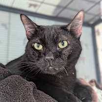 Thumbnail photo of Jimmy #2