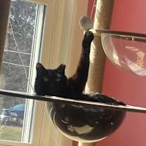 Thumbnail photo of Wynona #1