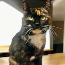 Thumbnail photo of Keely #1