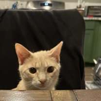 Thumbnail photo of Gabriel #4