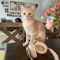 Thumbnail photo of Gabriel #3