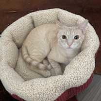 Thumbnail photo of Gabriel #2