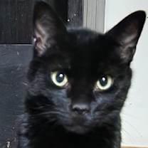 Thumbnail photo of Princey #2