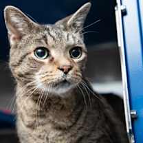 Thumbnail photo of Ted #3