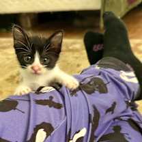 Thumbnail photo of Hermione #4