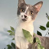 Thumbnail photo of Esme #1