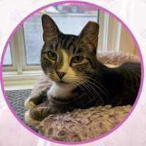 Thumbnail photo of Mango #1