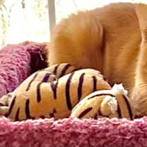 Thumbnail photo of Bryce #3