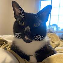 Thumbnail photo of Sam #1