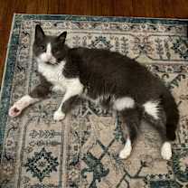 Thumbnail photo of Clyde #2