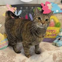 Thumbnail photo of Olivia #2