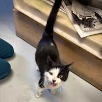 Thumbnail photo of Minnie Mouse #2