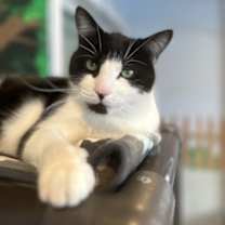 Thumbnail photo of Parker #1