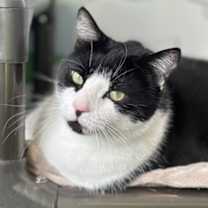 Thumbnail photo of Parker #2