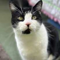 Thumbnail photo of Parker #3