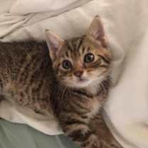 Thumbnail photo of Mary/Eevee 0124 #2