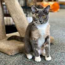 Thumbnail photo of Bean #1