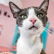 Thumbnail photo of Spencer #2