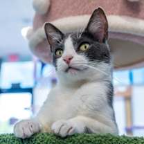 Thumbnail photo of Spencer #3