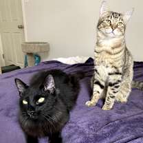 Thumbnail photo of Wyatt Dwerp #4