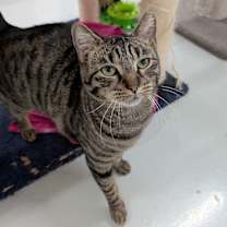 Thumbnail photo of Ezra #1