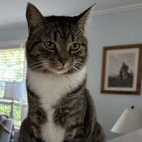 Thumbnail photo of Brittany #3